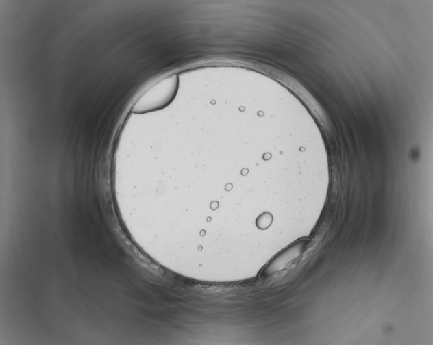 X0000116311004201001111134