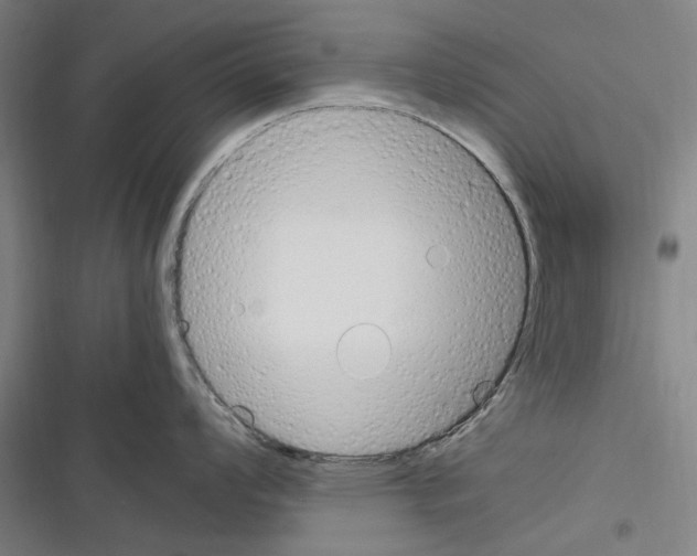 X0000116311008201001111134