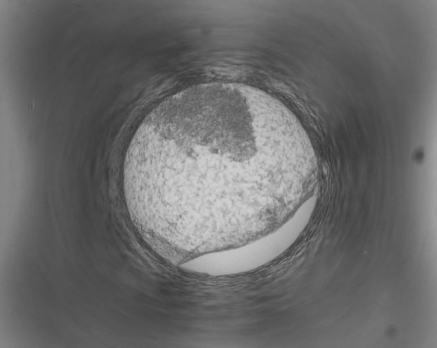 X0000116311009201001111134