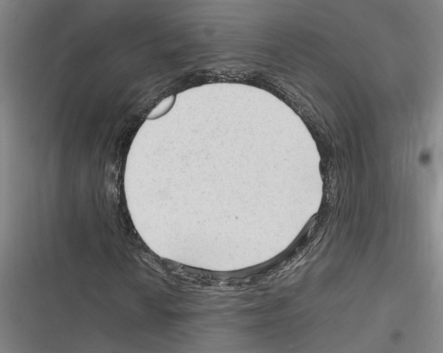 X0000116311010201001111134