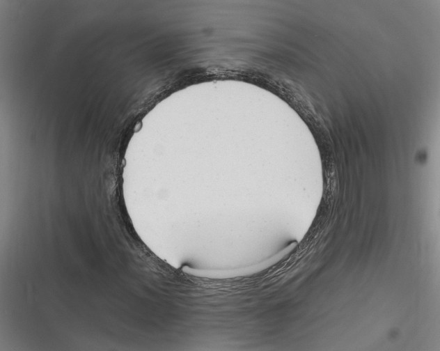 X0000116311012201001111134