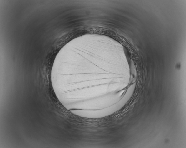 X0000116311013201001111134