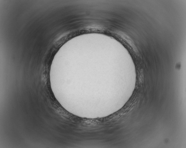 X0000116311015201001111134