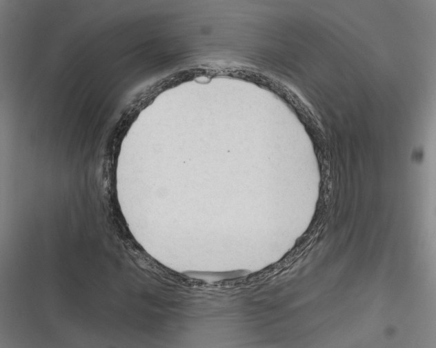 X0000116311016201001111134