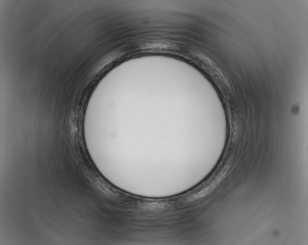 X0000116311017201001111134