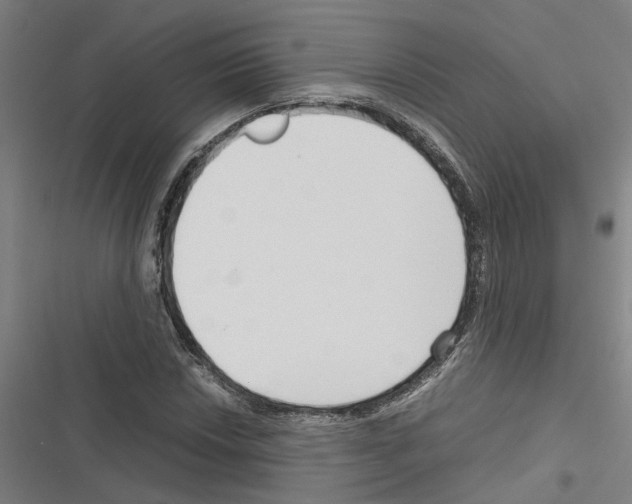 X0000116311018201001111134