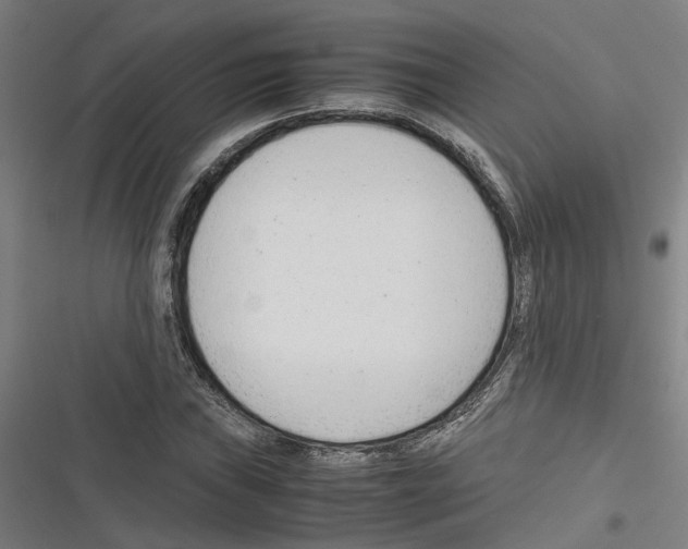 X0000116311019201001111134