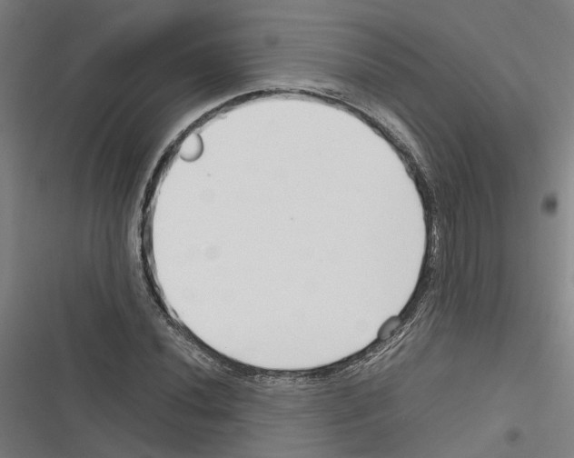 X0000116311020201001111134