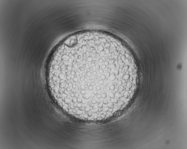 X0000116311022201001111134