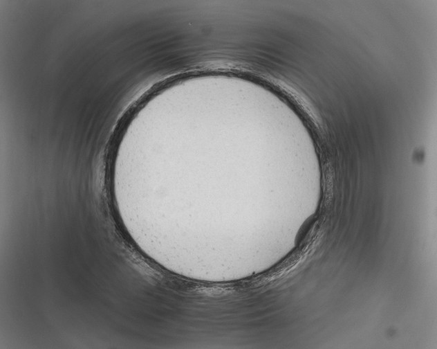 X0000116311023201001111134