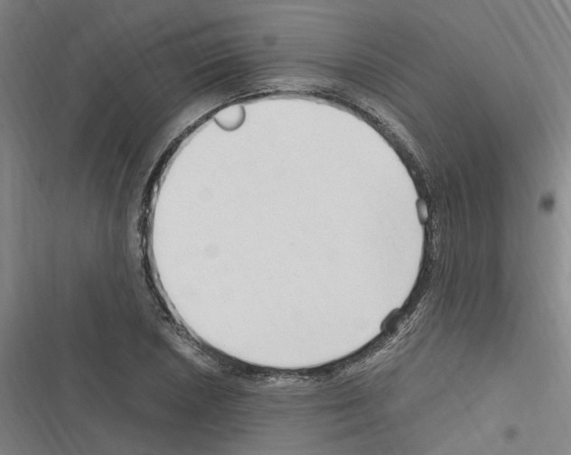 X0000116311026201001111134