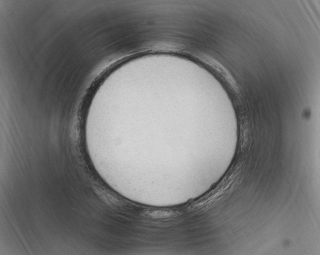 X0000116311027201001111134