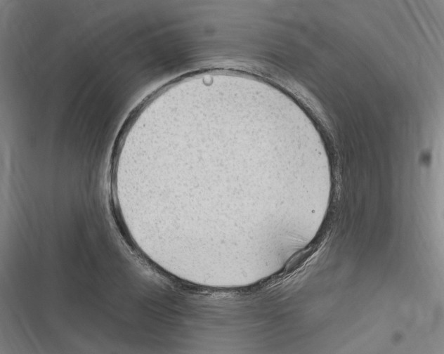 X0000116311028201001111134