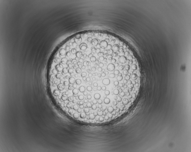 X0000116311030201001111134