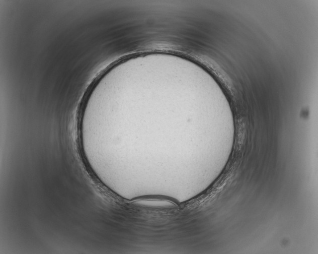 X0000116311031201001111134