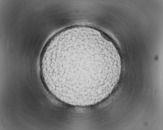 X0000116311032201001111134