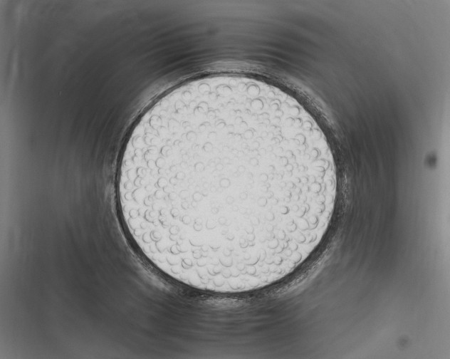 X0000116311033201001111134