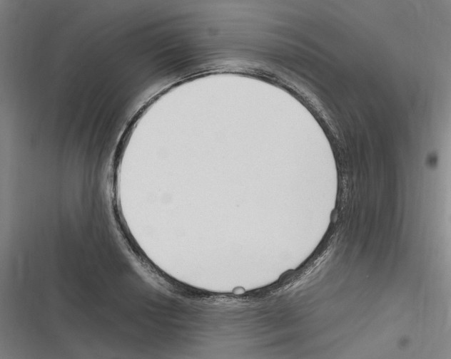 X0000116311034201001111134