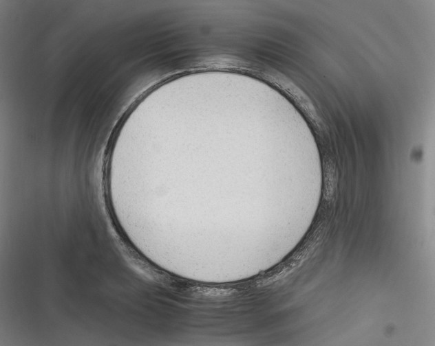 X0000116311039201001111134