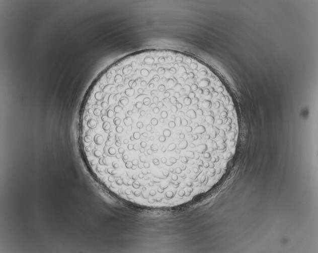 X0000116311040201001111134