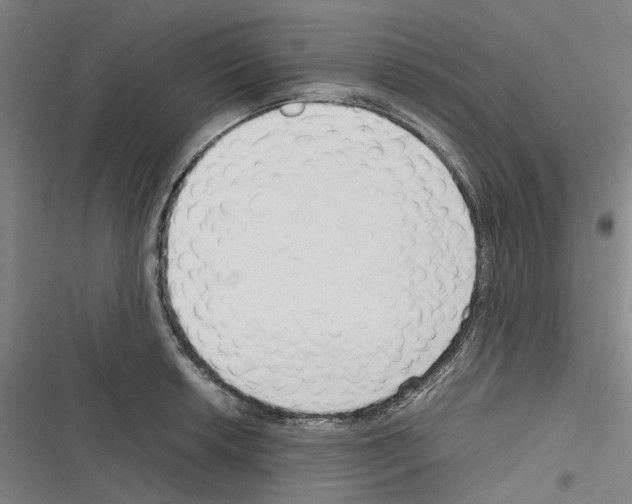 X0000116311042201001111134