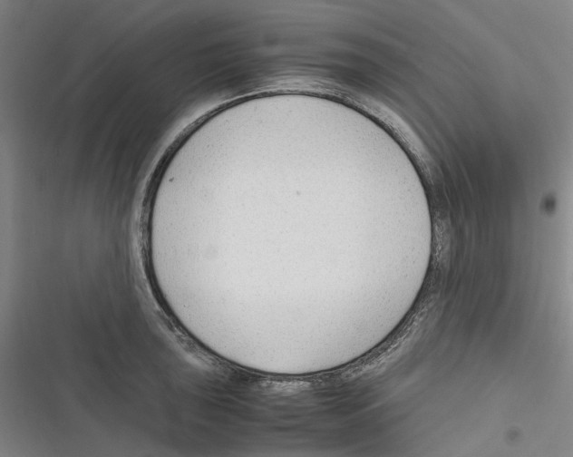 X0000116311043201001111134