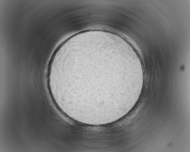 X0000116311045201001111134