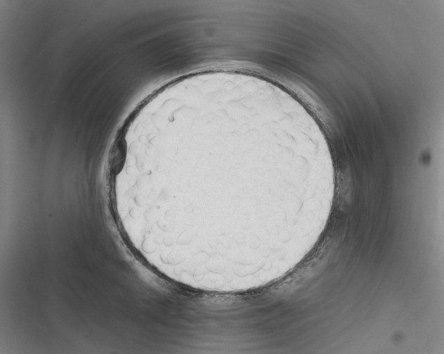 X0000116311046201001111134