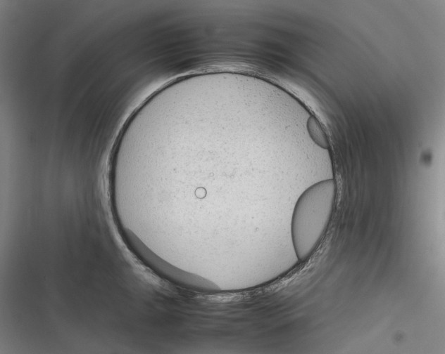 X0000116311047201001111134