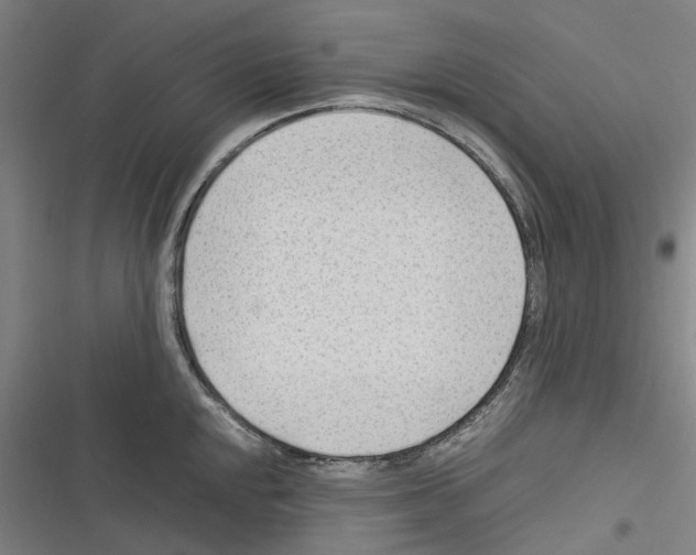 X0000116311048201001111134