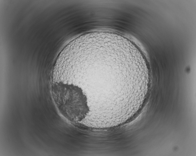 X0000116311049201001111134