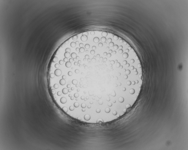 X0000116311050201001111134