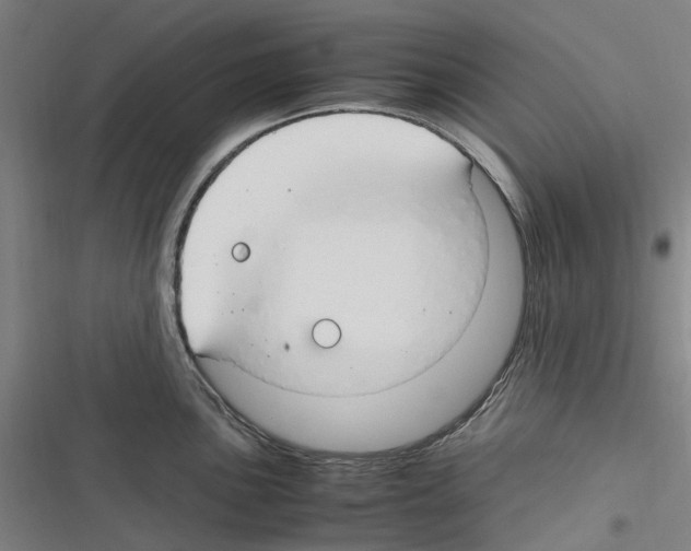 X0000116311051201001111134