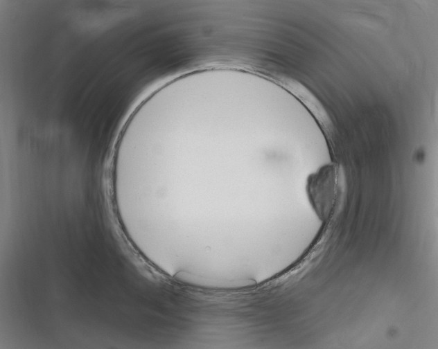 X0000116311052201001111134