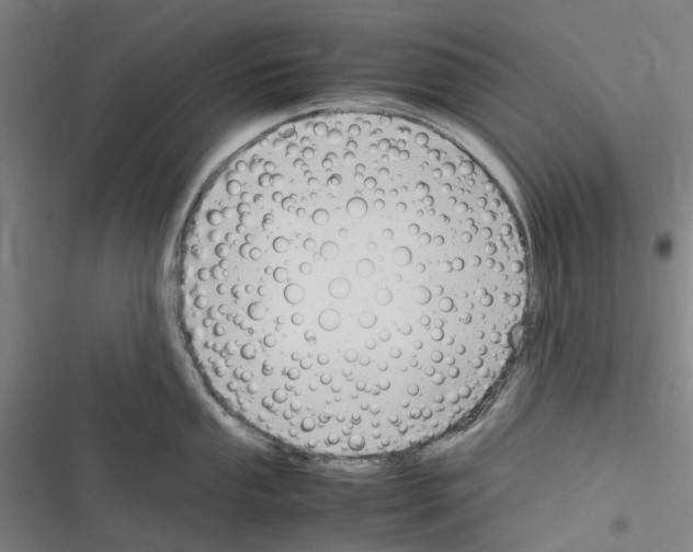 X0000116311053201001111134