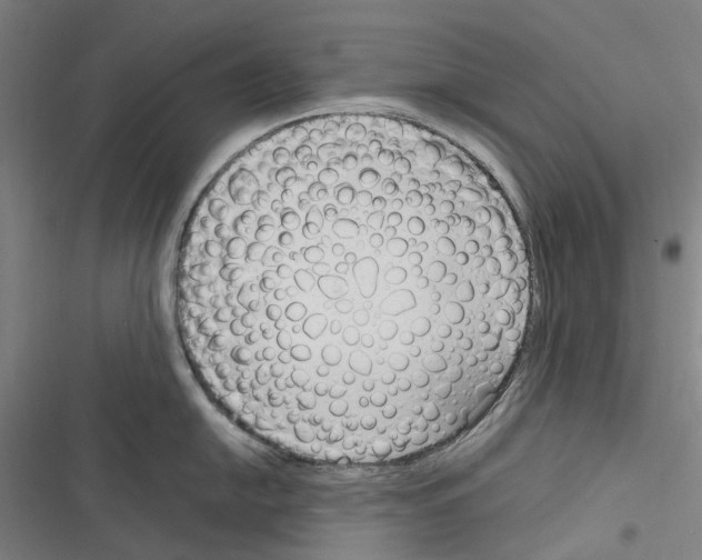 X0000116311054201001111134