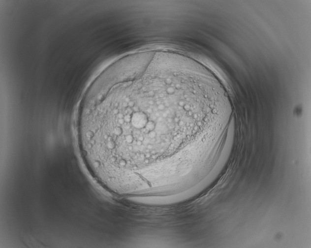 X0000116311055201001111134