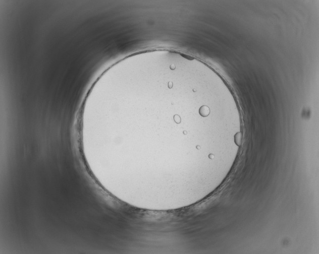 X0000116311056201001111134