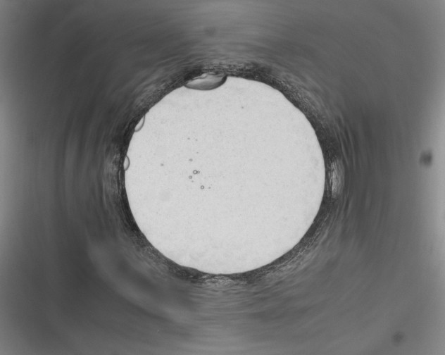 X0000116311059201001111134