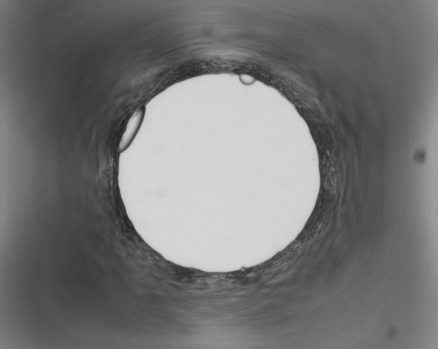 X0000116311061201001111133