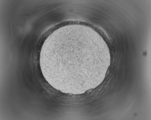 X0000116311064201001111133