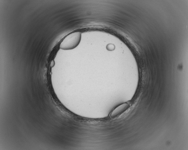 X0000116311066201001111133