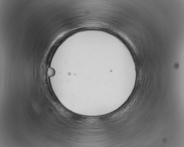 X0000116311067201001111133