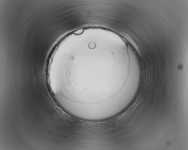 X0000116311068201001111133