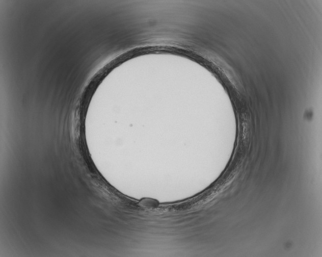 X0000116311069201001111133