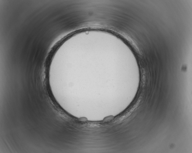 X0000116311070201001111133