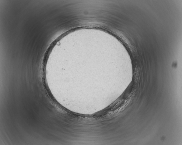 X0000116311071201001111133