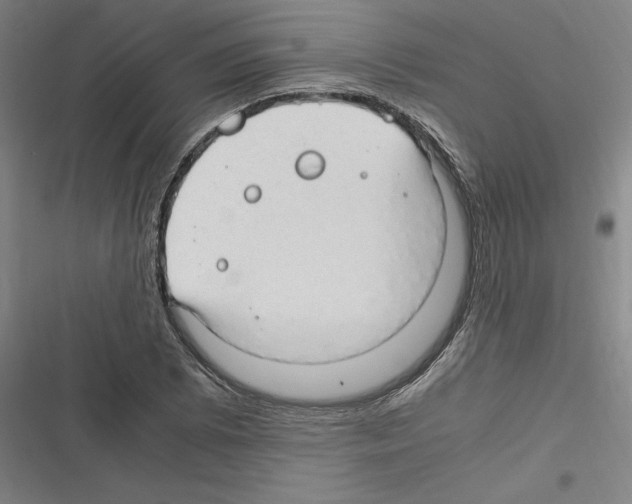 X0000116311073201001111133