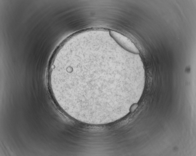 X0000116311076201001111133