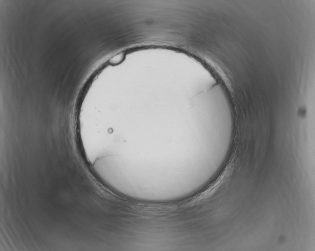 X0000116311077201001111133